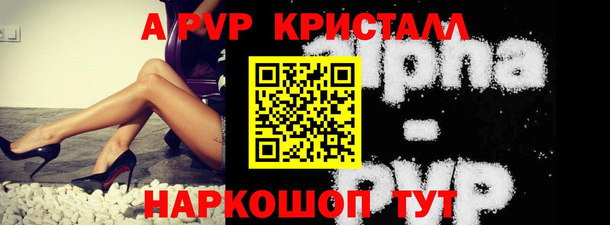 Альфа ПВП СК КРИС Кольчугино