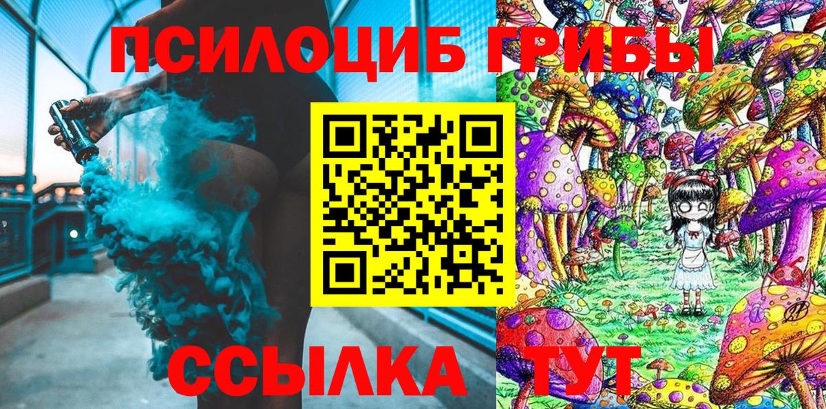 Псилоцибиновые грибы GOLDEN TEACHER Кольчугино
